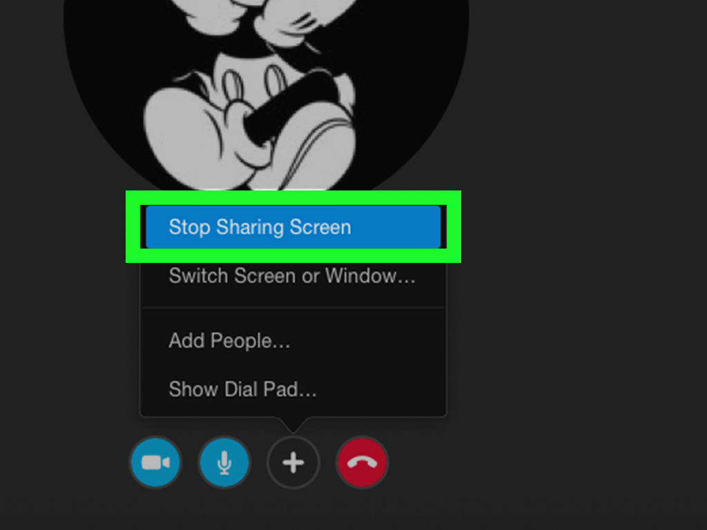 Skype Can39t See Shared Screen